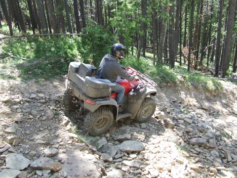 1990 Ford Bronco - An ATV navigates a challenging, rocky path through a dense forest.