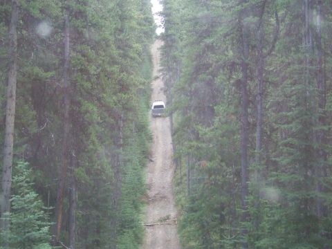 1990 Ford Bronco - A white SUV navigates a challenging dirt road ascending through a thick pine forest.