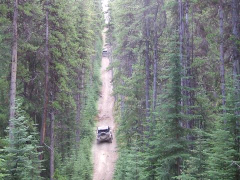 1990 Ford Bronco - Vehicles ascend a challenging trail surrounded by tall evergreen trees.