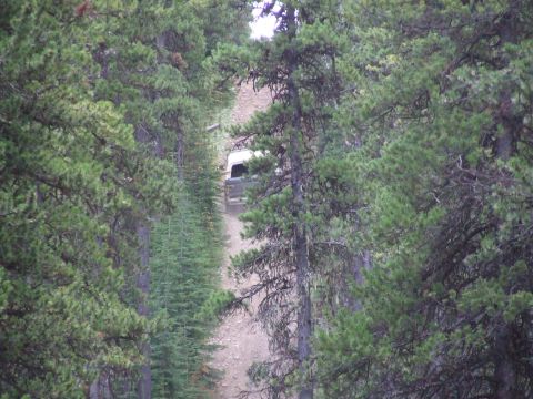 1990 Ford Bronco - A white SUV navigates a steep, narrow dirt road surrounded by dense pine forest.