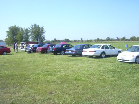 1997 Ford Crown Victoria - A lineup of sedans and a white 1997 Ford Crown Victoria are parked on a grassy field on a sunny day.