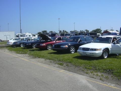 1997 Ford Crown Victoria - A line of Ford Crown Victorias, including police interceptor models, are parked on a grassy area under a clear blue sky.