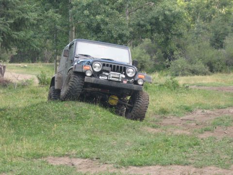1995 Ford Bronco - A dark blue Jeep Wrangler navigates an off-road trail, its large tires gripping the grassy incline.