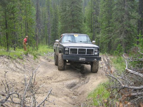 1995 Ford Bronco - A black pickup truck navigates a rough dirt path surrounded by dense trees.