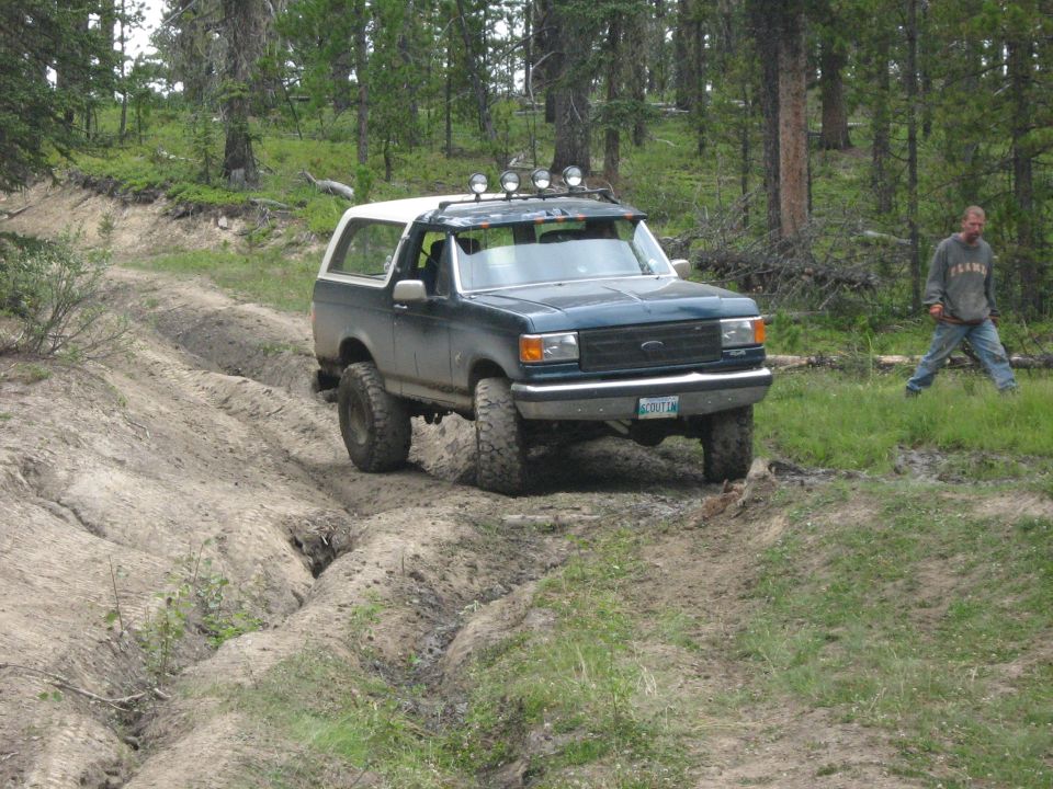 Dark blue Ford Bronco with white top driving on a dirt trail in a forest. It has extra lights on the roof