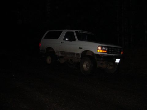 1989 Ford Bronco - Alvies truck didnt even get dirty