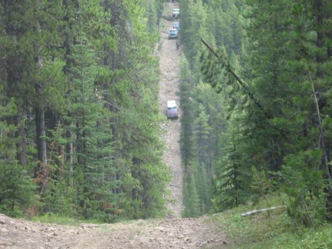 1995 Ford Bronco - A convoy of SUVs navigates a challenging off-road trail, climbing a steep incline surrounded by thick pine trees.