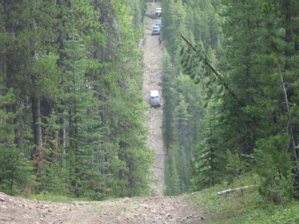 Several SUVs ascend a narrow dirt path through a dense forest