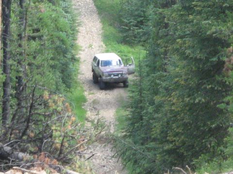 1995 Ford Bronco - A 1995 Ford Bronco is parked on a dirt road surrounded by trees, with the driver's door ajar.