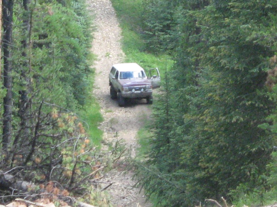 1995 Ford Bronco parked on a dirt road in a forest, driver's door open