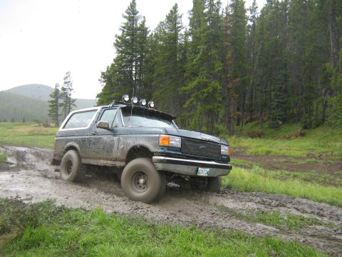 1995 Ford Bronco - A dark green 1992 Ford Bronco navigates a muddy trail surrounded by trees.