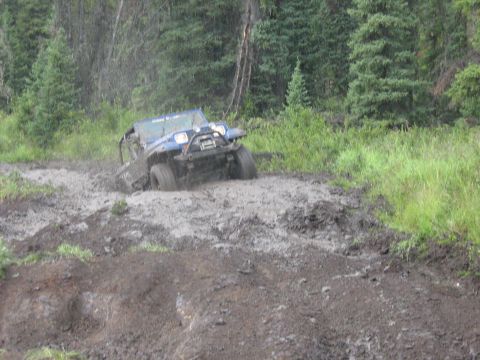 1995 Ford Bronco - A blue off-road vehicle struggles through a muddy track surrounded by lush green foliage and tall trees.