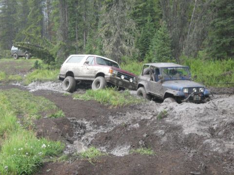1995 Ford Bronco - Two off-road vehicles, a 1995 Ford Bronco and a Jeep Wrangler, are stuck in deep mud on a forest trail.