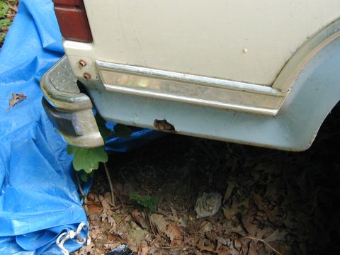 1986 Ford Bronco - Close-up of the rear quarter panel and bumper on a 1986 Ford Bronco, showing a rust patch.