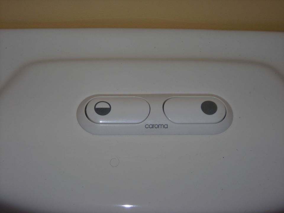 White dual-button toilet flush actuator with 'caroma' text