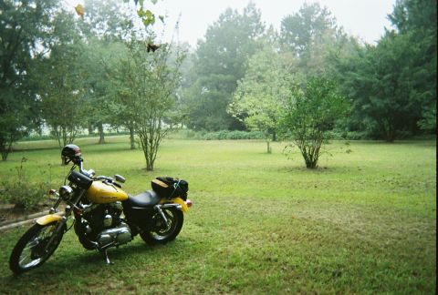 2006 Harley-Davidson Sportster Custom “Sin D Sue”