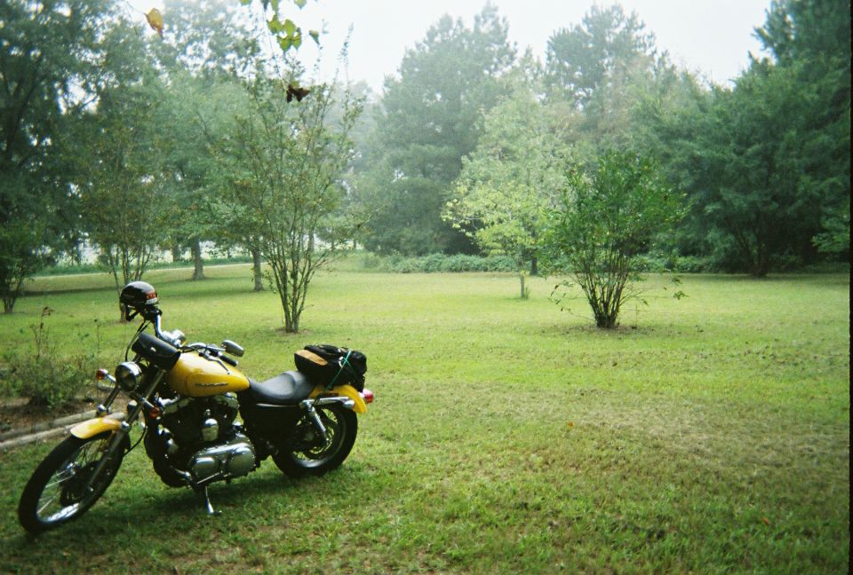 Yellow Harley-Davidson Sportster Custom motorcycle parked on grass, helmet on handlebars, bags on rear seat