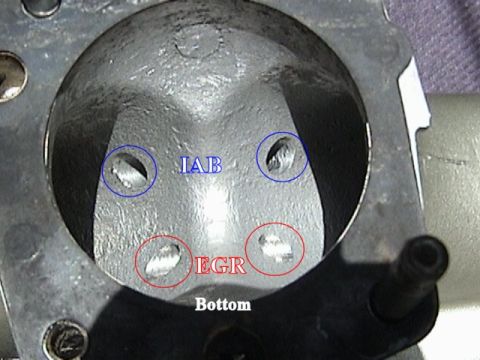 1993 Ford Taurus - Close-up view of a throttle body's interior, showing labeled IAB and EGR ports.