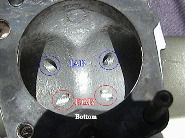 Throttle body interior with IAB and EGR ports labeled
