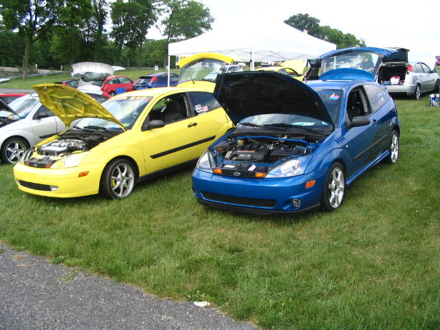 Yellow and blue Ford Focus hatchbacks with hoods up at an outdoor car show