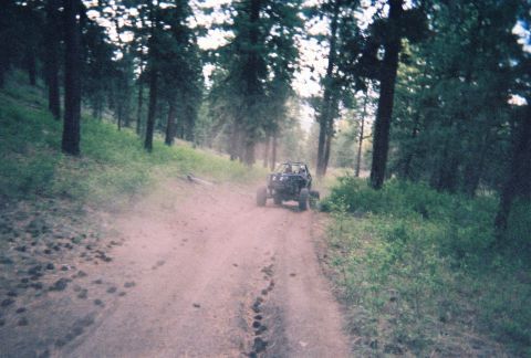 1984 Ford Bronco - An off-road buggy kicks up dust on a forest trail.