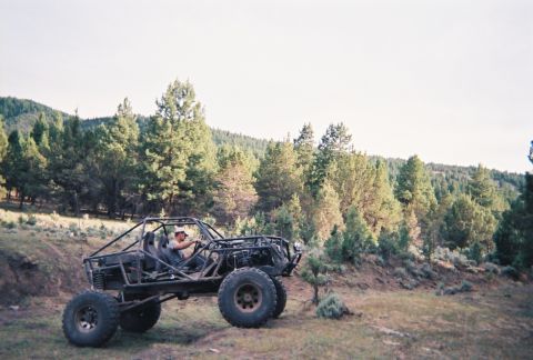 1984 Ford Bronco - A custom-built off-road buggy navigates a wooded trail.