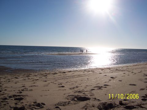 1996 Ford Bronco - A sunny day at the beach with people visible in the shallow water.