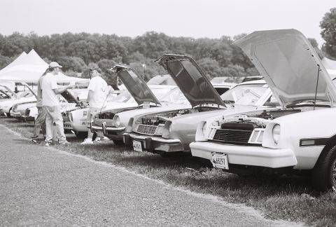 1973 Ford Ranchero - Several cars are lined up with their hoods open at an outdoor event.
