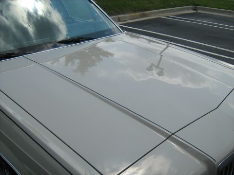 1988 Mercury Grand Marquis - after ScratchX and Cleaner Wax Hood 8-10-07