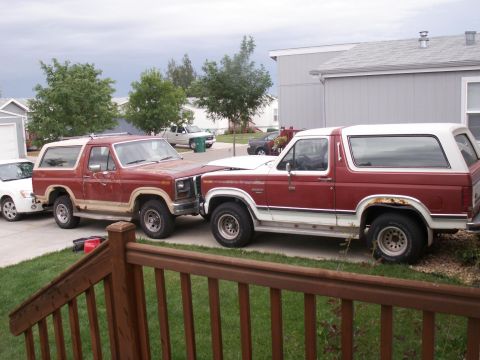 1986 Ford Bronco
