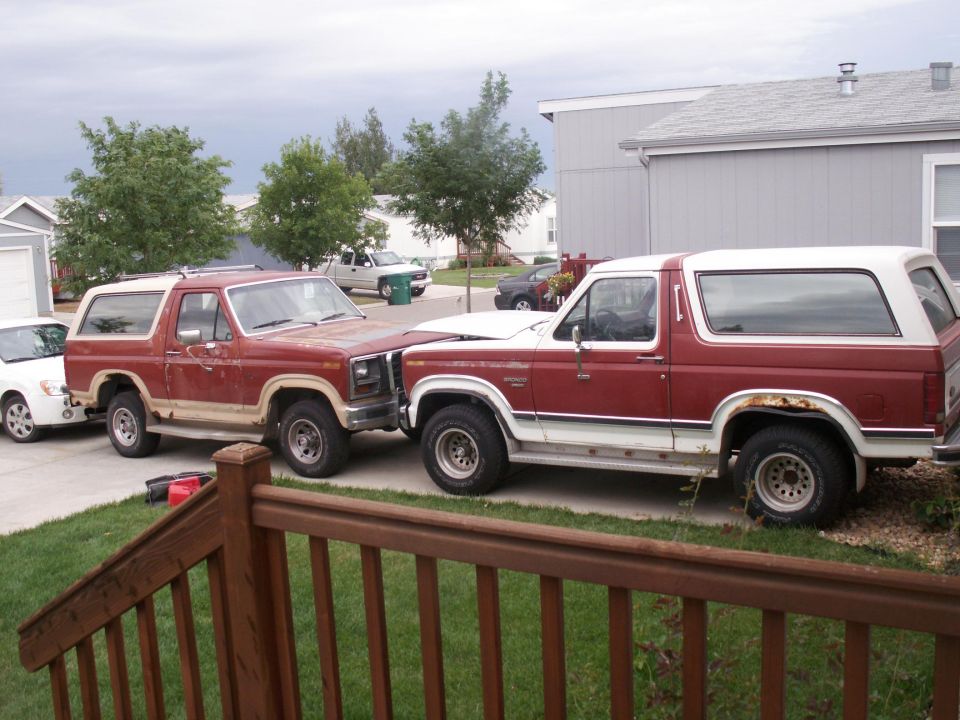 1986 Ford Bronco