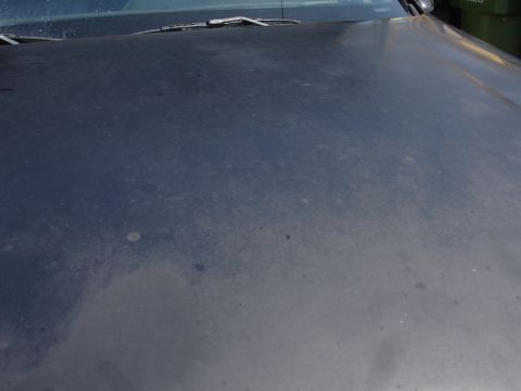 1991 Ford Taurus - The hood of a car shows dust and water spots under the windshield wipers.