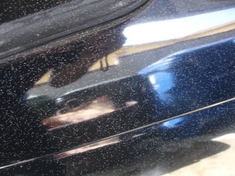 1991 Ford Taurus - Close-up of a dark blue car door, showing metallic paint flecks and reflections.