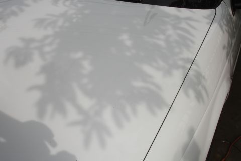 1992 Ford Taurus - Shadows from trees fall across the hood of a white car.