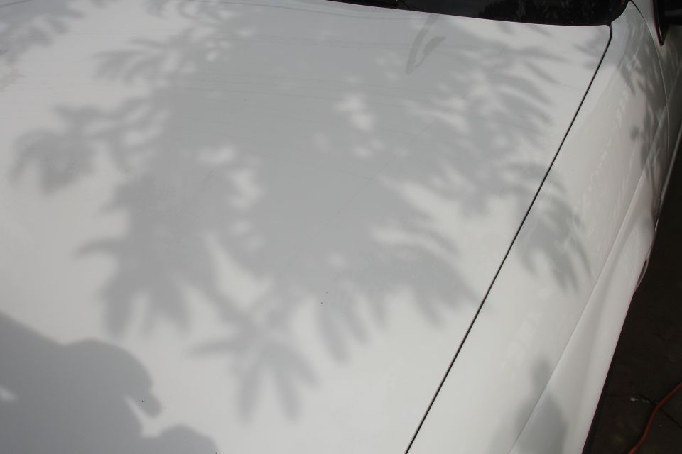 White car body panel with leaf shadows and a visible panel seam
