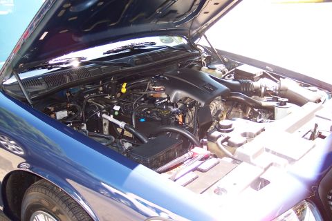 2001 Ford Crown Victoria - The engine bay of a blue 2001 Ford Crown Victoria is visible with the hood raised.