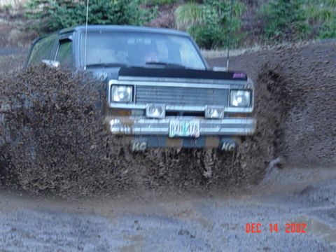 1989 Ford Bronco - Nice pic