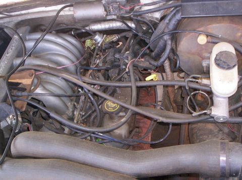 1995 Ford Bronco - Engine bay of a Ford truck viewed from the driver side, showing the cast aluminum EFI intake manifold, yellow oil-fill cap and dipstick han…