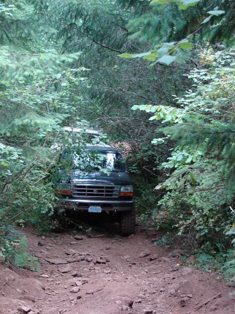 1996 Ford Bronco - A dark green 1995 Ford Bronco navigates a challenging, rocky trail surrounded by dense forest foliage.