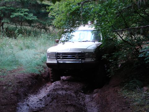 1996 Ford Bronco - A white Ford Bronco navigates a muddy track surrounded by dense foliage.