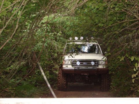 1996 Ford Bronco - This off-road SUV, likely from the early to mid-1990s, navigates a narrow, overgrown trail.