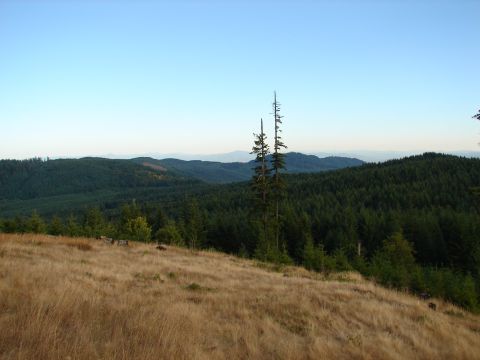 1996 Ford Bronco - A wide view of a forested mountain range under a clear blue sky.