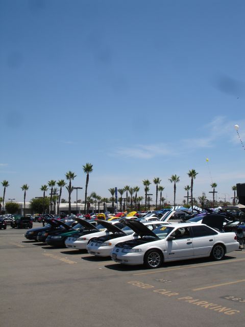 1993 Ford Taurus - A row of cars, including a white 1993 Ford Taurus, are displayed with their hoods open at an outdoor event.
