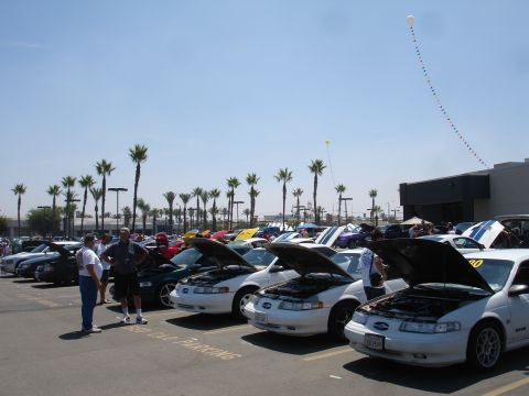 1993 Ford Taurus - Several white Ford Taurus models are displayed with their hoods up at an outdoor car show under a clear blue sky.