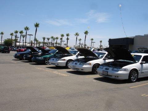 1993 Ford Taurus - A row of Ford Taurus vehicles are parked with their hoods up under a clear blue sky with palm trees in the background.