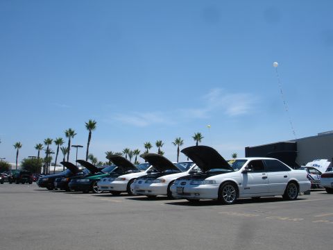 1993 Ford Taurus - Several Ford Taurus sedans are lined up with their hoods open at an outdoor event.