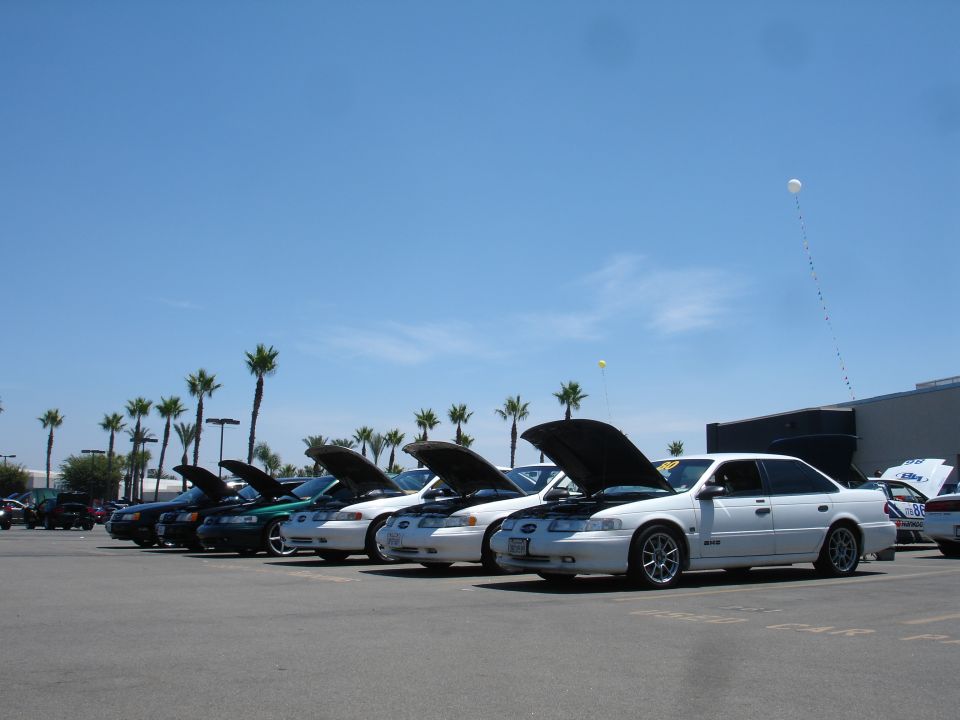Row of white Ford Taurus sedans with hoods open, parked in a lot under a blue sky with palm trees