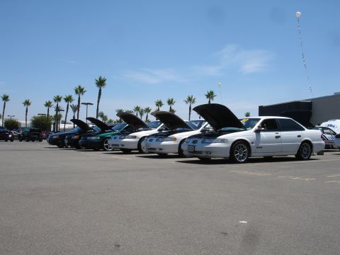 1993 Ford Taurus - A row of cars, including a white 1993 Ford Taurus with its hood up, are displayed under a sunny sky with palm trees.