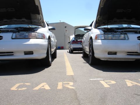 1993 Ford Taurus - Two white Ford Taurus SHO sedans are parked in a lot, both with their hoods open, revealing their engines.