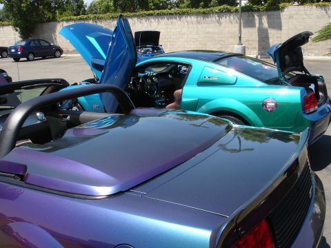 1993 Ford Taurus - Two modified Ford Mustangs, one teal coupe with butterfly doors and open trunk, the other a purple convertible, are parked outdoors.
